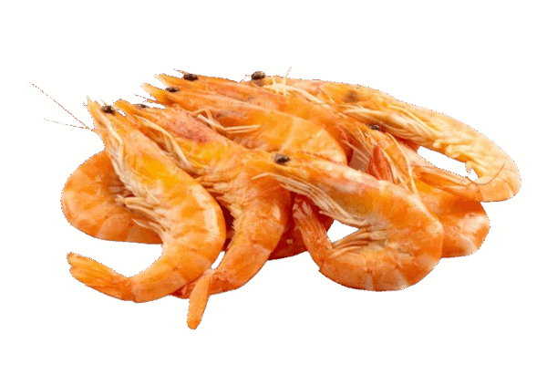 CREVETTES ROSES X6