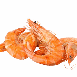 CREVETTES MADAGASCAR LABEL ROUGE X6