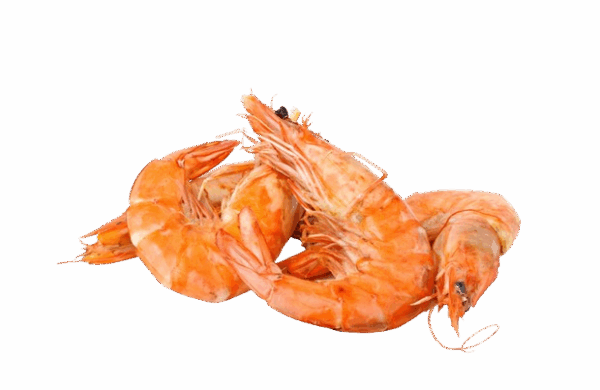 CREVETTES MADAGASCAR LABEL ROUGE X6