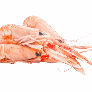 LANGOUSTINES XL X2
