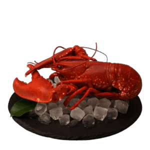 HOMARD BLEU DE BRETAGNE CUIT