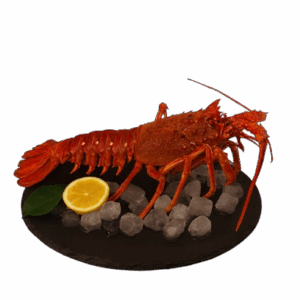 LANGOUSTE MADAGASCAR